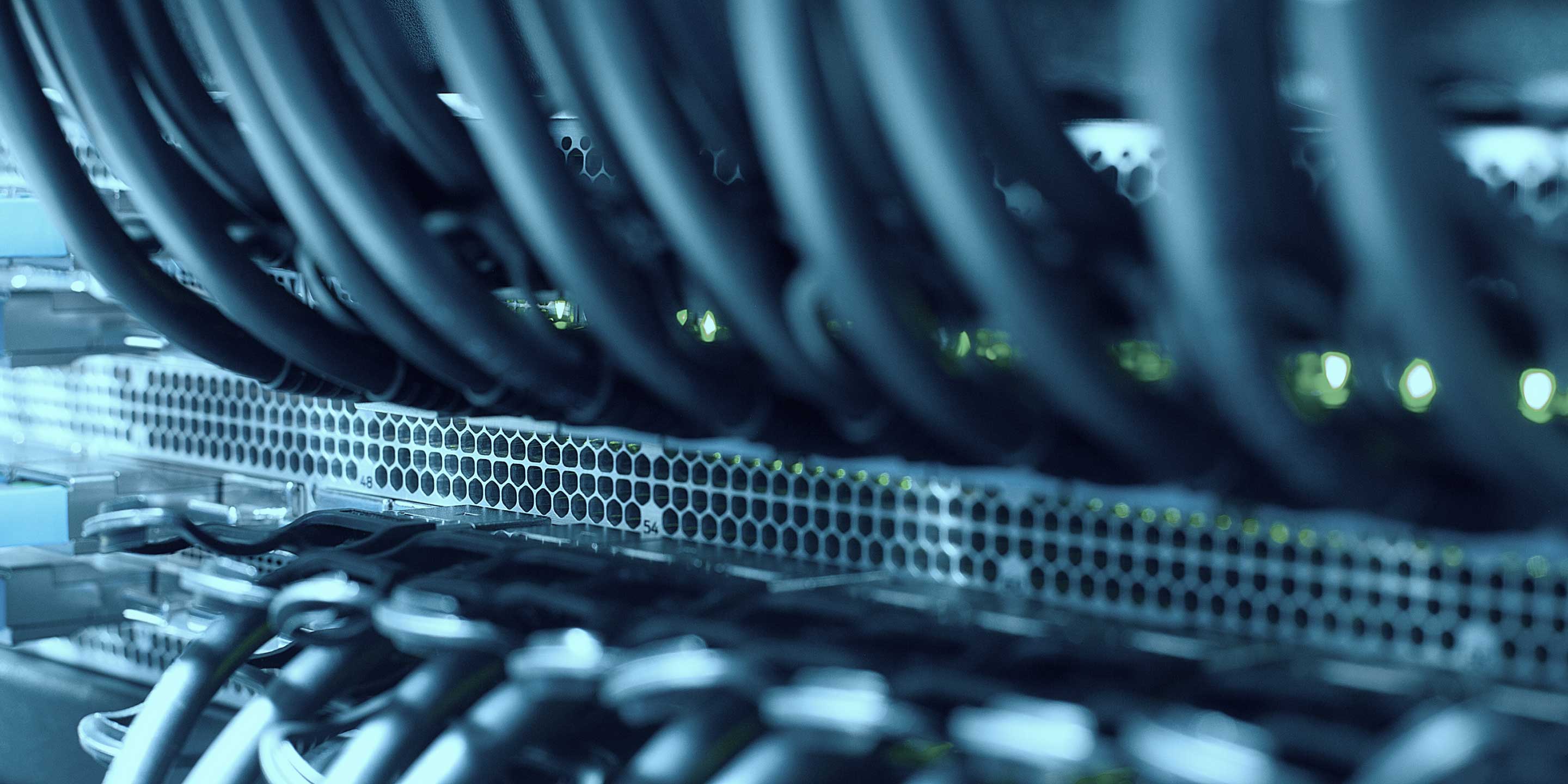 Elite Hands Datacenter Switch
